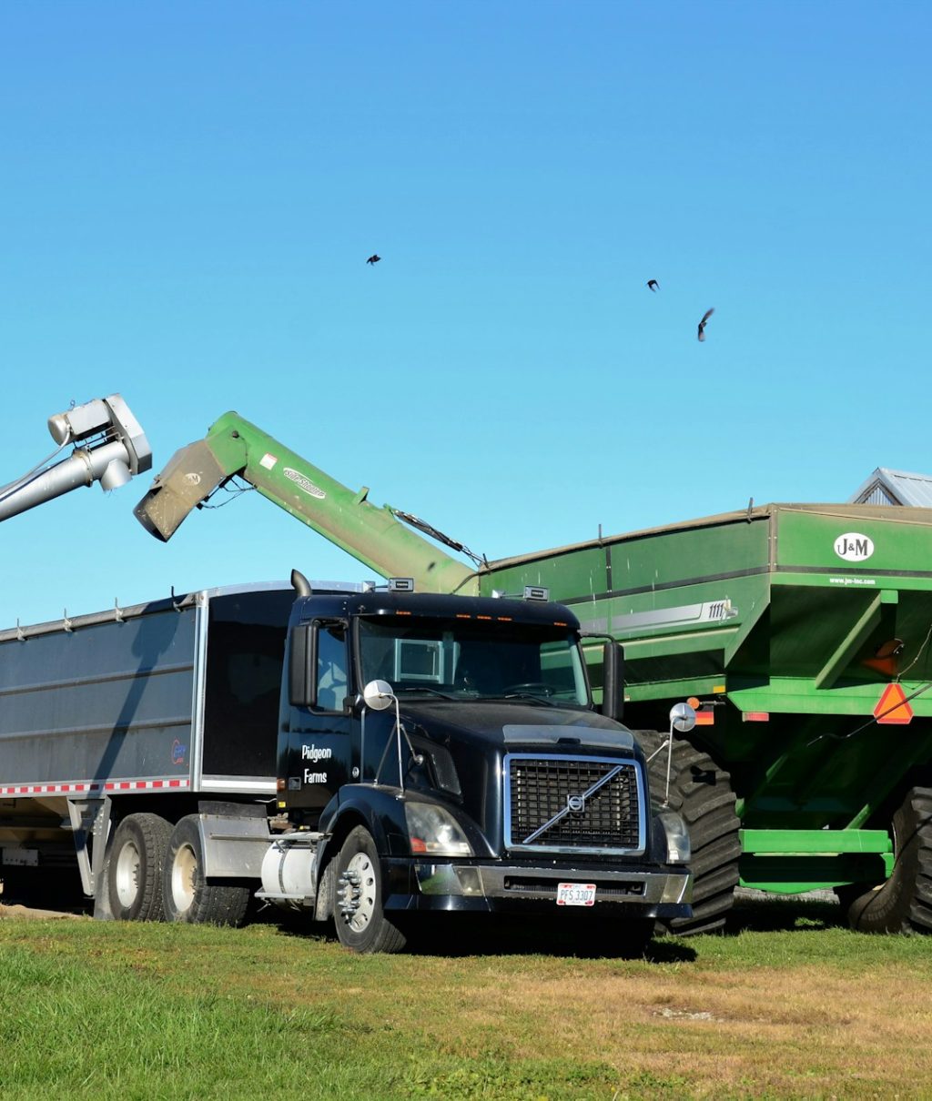 roger-starnes-sr-esQYNtZMPfc-unsplash